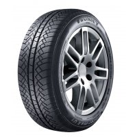 Anvelope  Sunny NW611 195/60R15 88T Iarna